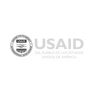 USAID 01